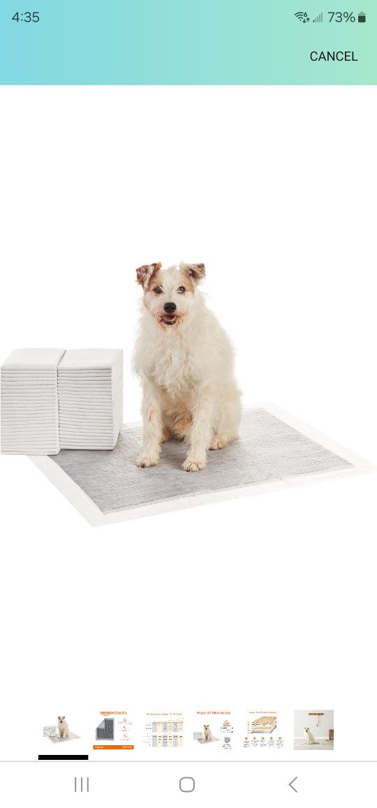 Amazon Basics Dog and Puppy Pee Pads with 5-Layer Leak- Proof Design and Quick-Dry Surface for Potty Training Odor-Control Carbon, XL, 28 x 34 Inch ..