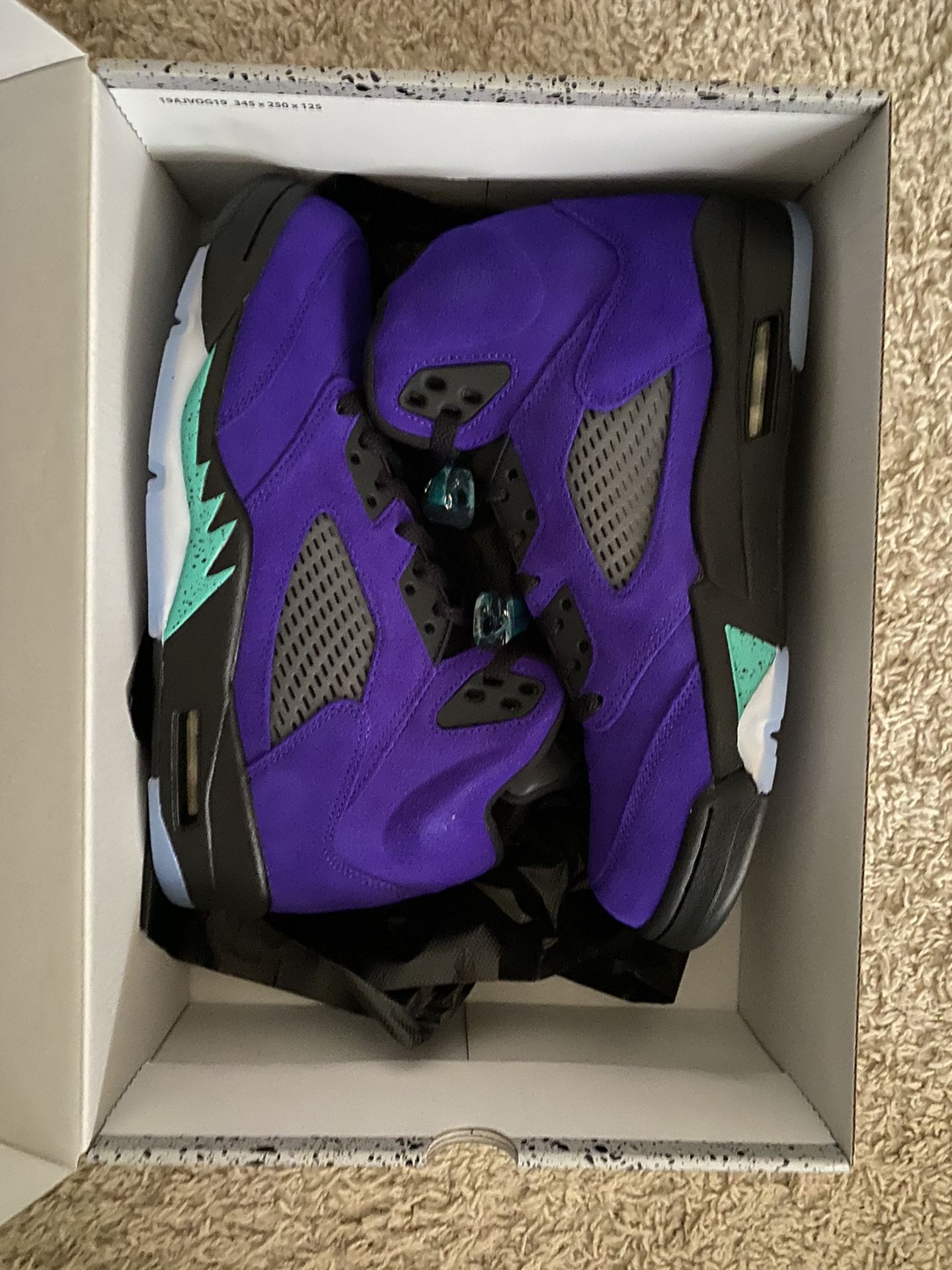 Jordan Retro 5 “Alternate Grape”