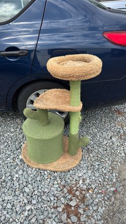 Cat scratcher and sleep toy 20”X34” inch tall