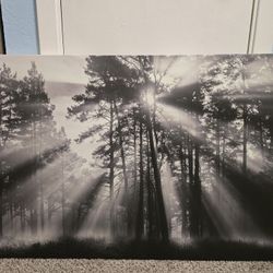 Dawn Through Pines Canvas Wall Decor