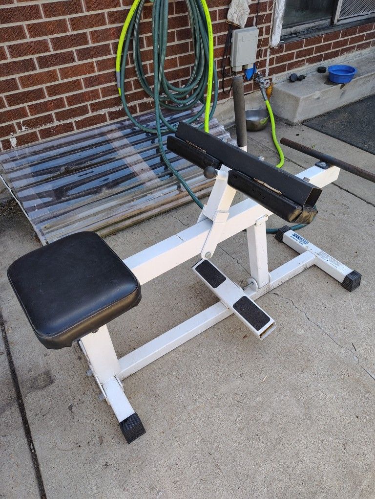 calf raise machine