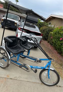 Dual trike bike