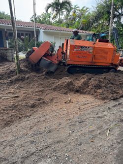 Stump grinder moledora troncos raíces árboles palmas trees palms stumps