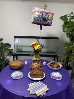 Brand new, never used 55 gallon fish tank