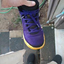 Lebron James Air Max Zooms 