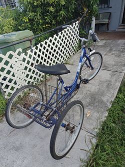 Bicycle trike