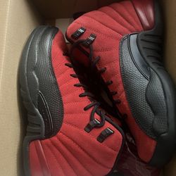 Jordan 12