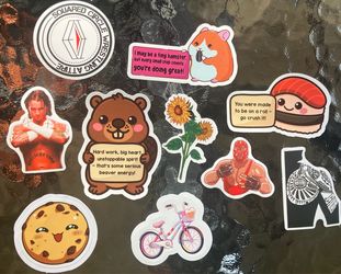 10 pack random sticker bundle