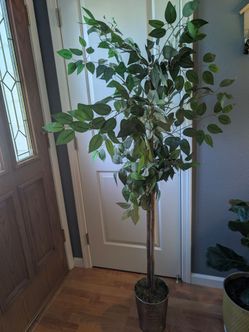 Fake Plant