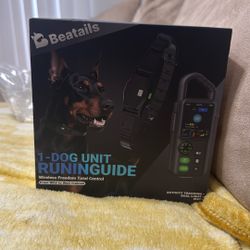 Wireless Dog Training Runinguide