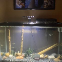 45 Gallon fish tank And stand 