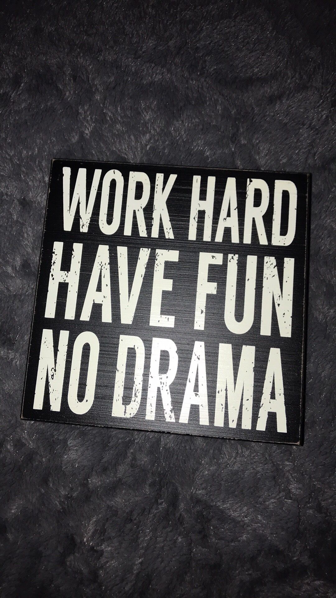 Work Hard Have Fun No Drama Sign