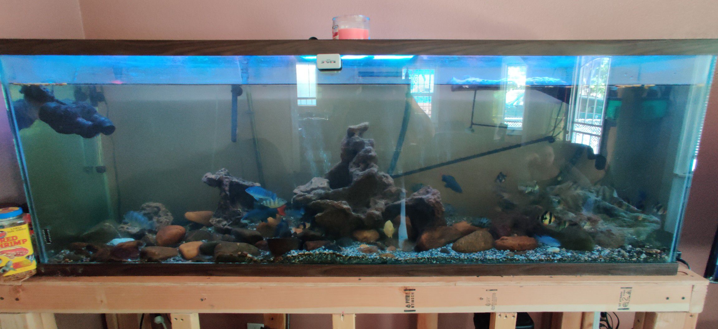 140gallon fish tank