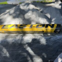Easton Softball Bat