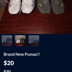 Mens Pumas 