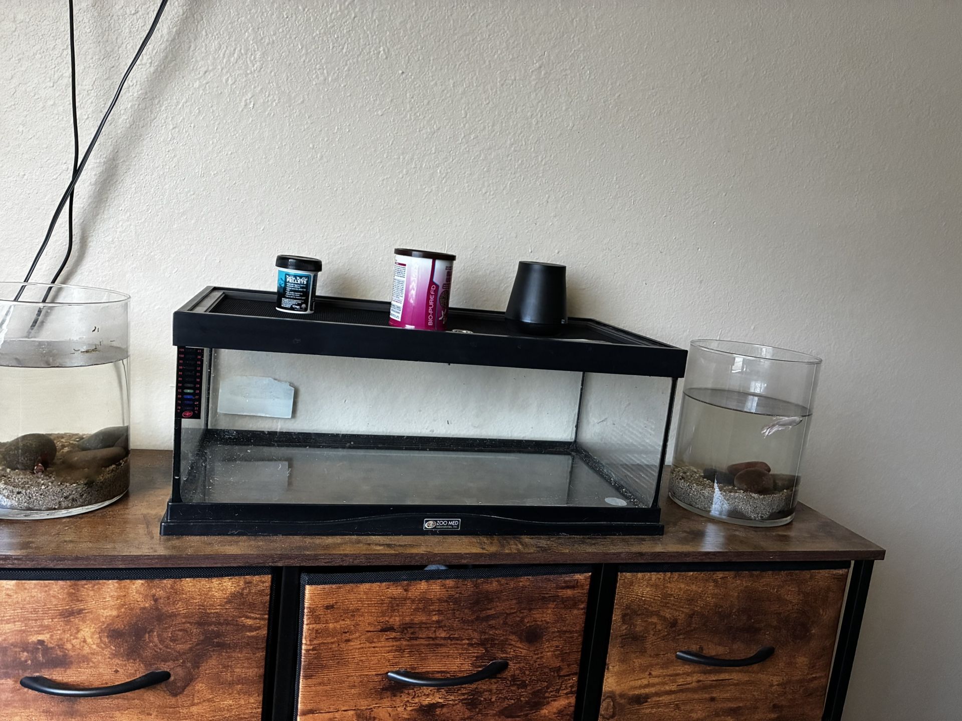 Fish Tank With Lid