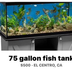 75 Gallon Fish Tank 