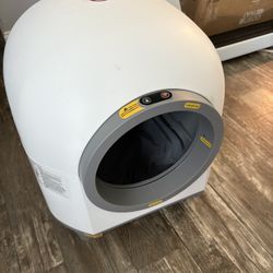 BT/Wifi Cat Little Box