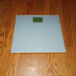 Taylor Digital Scale 