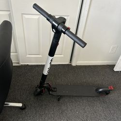 Gotrax Adult Scooter 