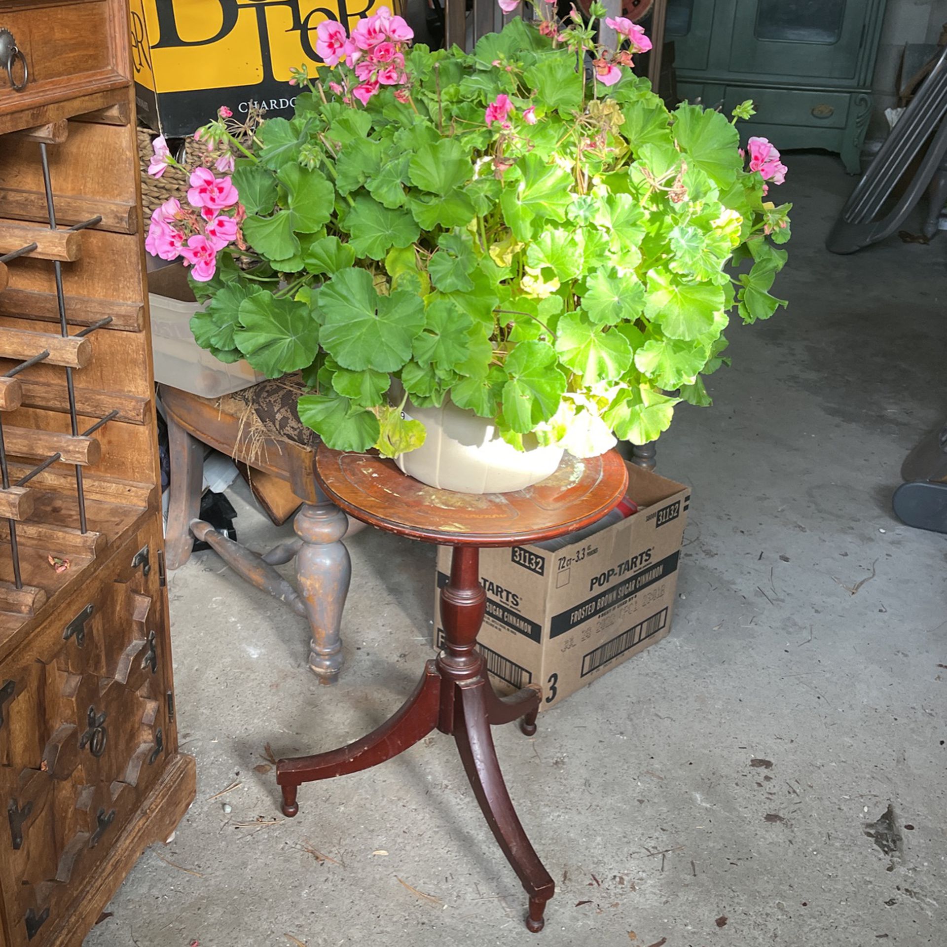 3 Diffetent Plant Stands Wine Cabinet And /Or Plant Stand 