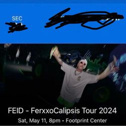 FEID - Fee zocalo paid Tour 2024