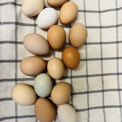 Eggs