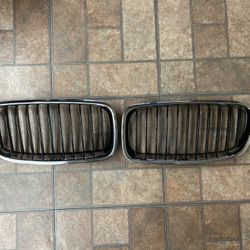 BMW F30 OEM Grills