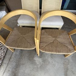 Furniture Plants 