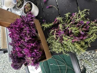 Lavender (dried)