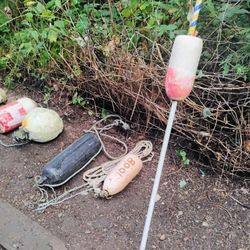 7 Different Buoys  