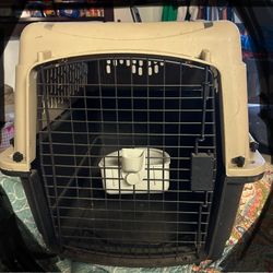 Dog Kennel