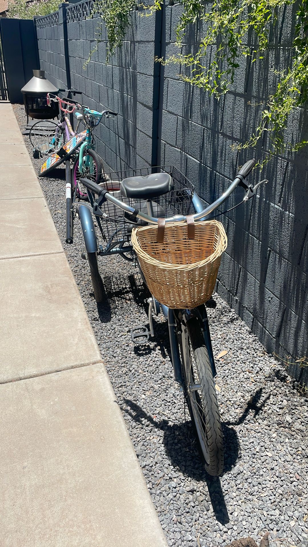 Schwinn Trike! $250