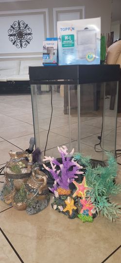 20 Gallon Hexagon Top Fin Fish Tank