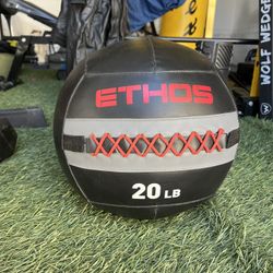 Ethos Wall Ball 20lbs - like new - SALE!
