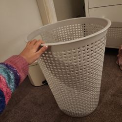 Laundry Bin