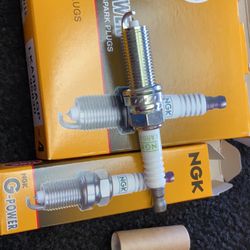 NGK spark Plugs