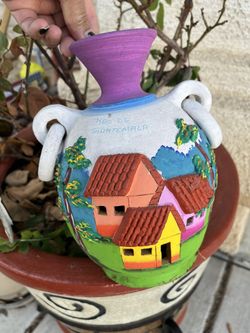 AGaVe Plants And NEW Pots