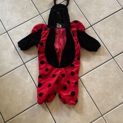 12M Ladybug Costume