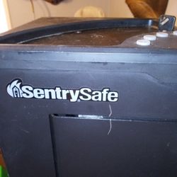 Sentry Safe Gun Safe.