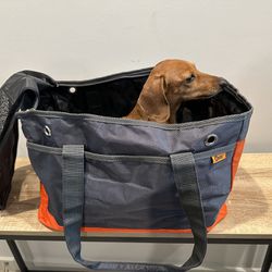 Dog Carrier Bag