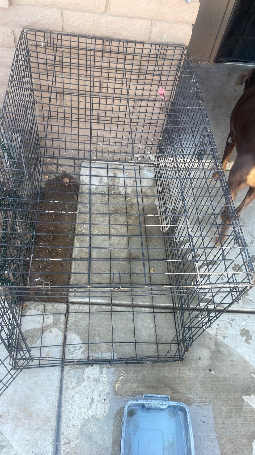 Dog Kennel