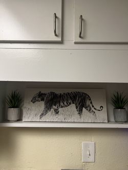 Small Tiger Picture