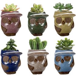 NEW! Succulent Planter, 3.2 inch Ceramic Owl Small Pots, Ceramic Pots for Plants, Pack of 6, Plants not Included
