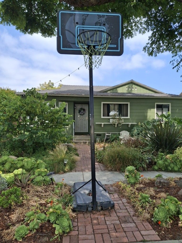 Lifetime Basketball Hoop