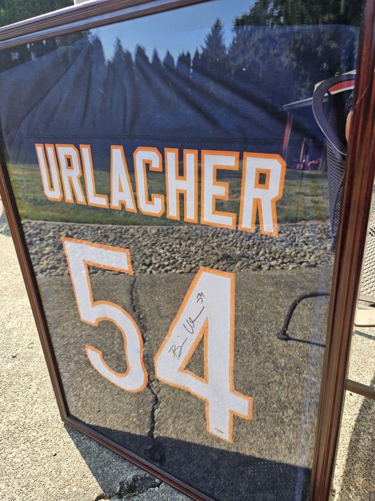 Autographed Brian Urlacher Chicago Bears Jeresey