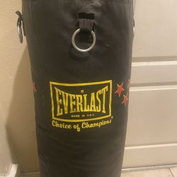 Punching Bag Everlast  