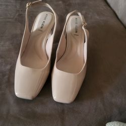 Shoes Talla 8 1/2