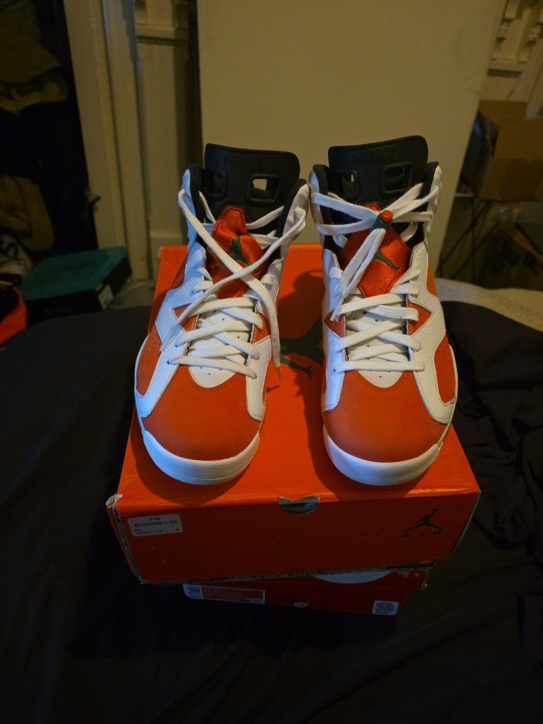 Gatorades Jordan 6