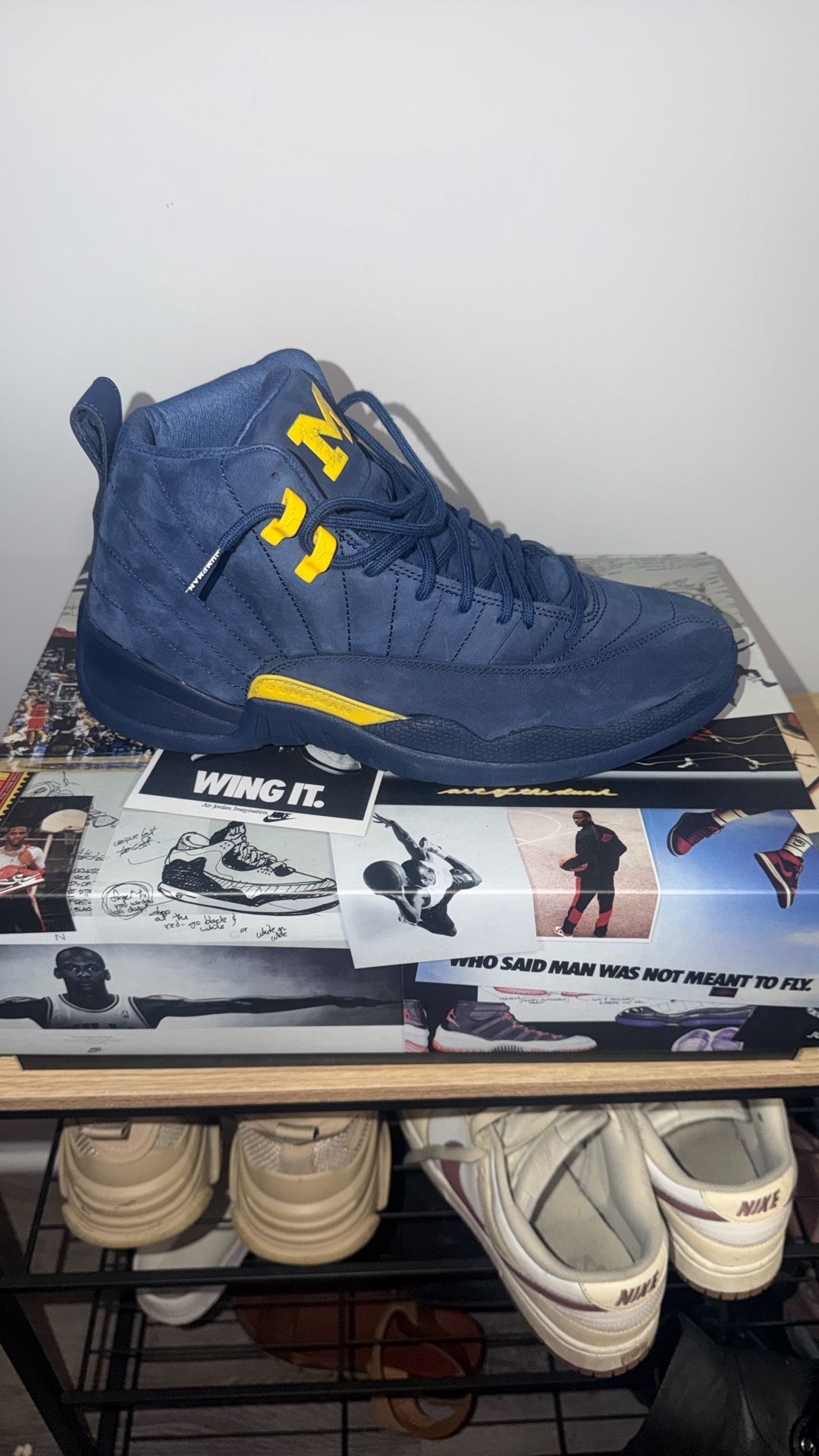 Retro 12 Michigan
